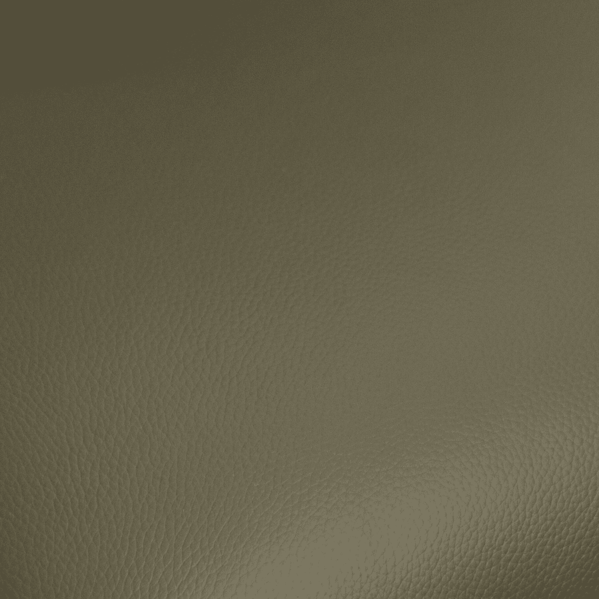 2er Set Esszimmerstühle mit Armlehne - Drehbar - Olivgrün